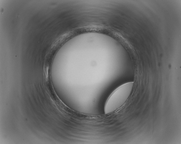 X0000085000070200703050946