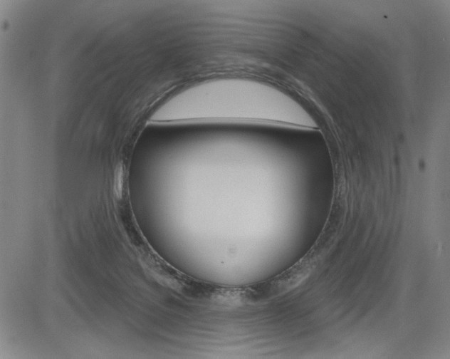 X0000085000076200703050946