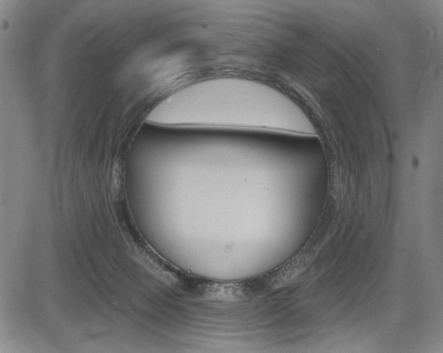 X0000085000077200703050946