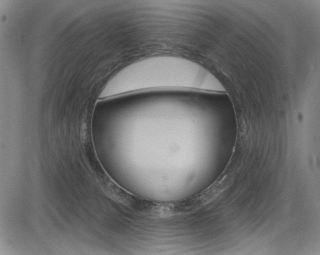 X0000085000080200703050946