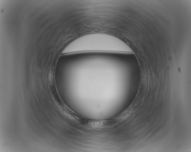 X0000085000084200703050946