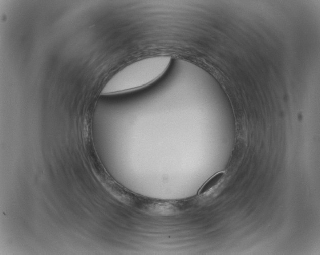 X0000085000086200703050946