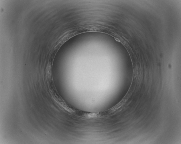 X0000085000092200703050947