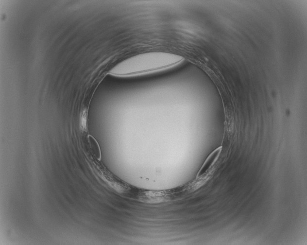 X0000085000095200703050947