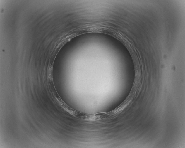 X0000085000096200703050947