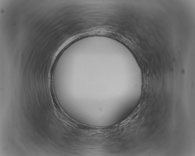 X0000085000100200703050946