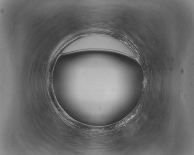 X0000085000101200703050946