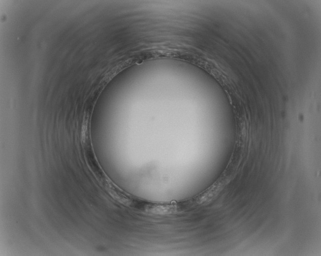 X0000085000129200703050945