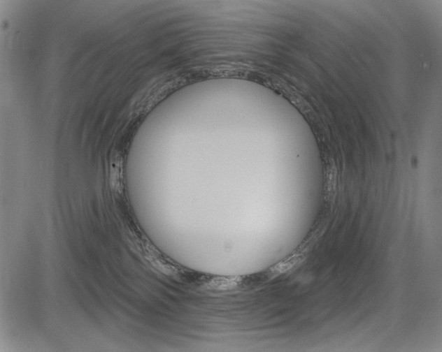 X0000085000138200703050945
