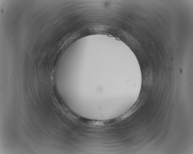 X0000085000140200703050945