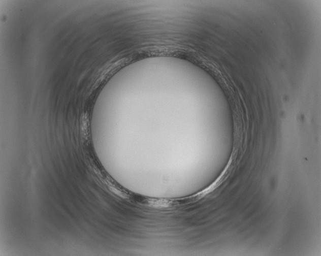 X0000085000144200703050945