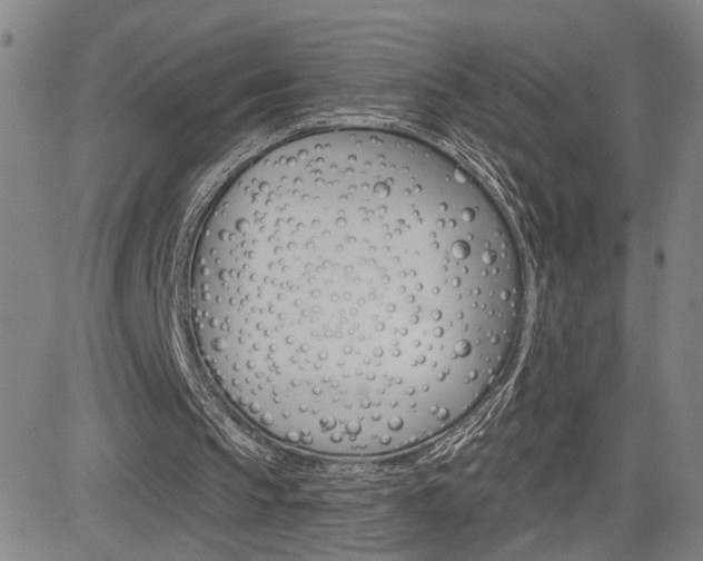 X0000085000145200703050944