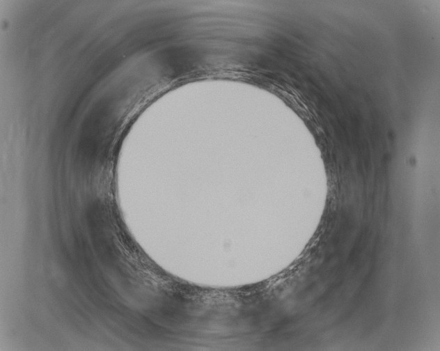X0000085000146200703050944