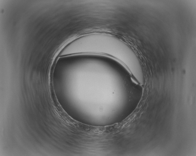 X0000085000148200703050944