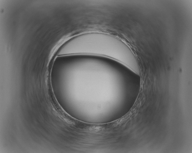 X0000085000152200703050944