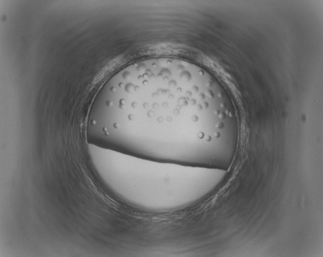X0000085000153200703050944