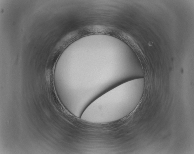 X0000085000167200703050945