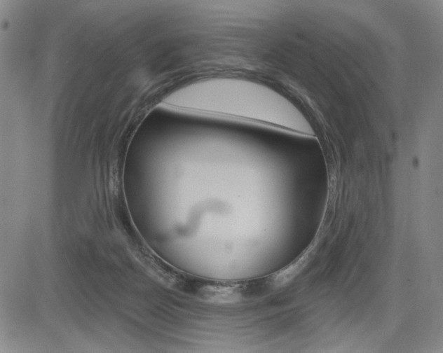 X0000085000170200703050945