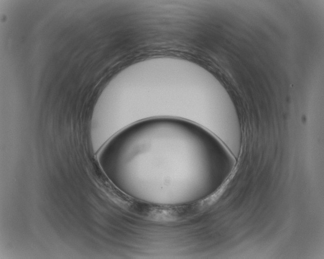 X0000085000174200703050945