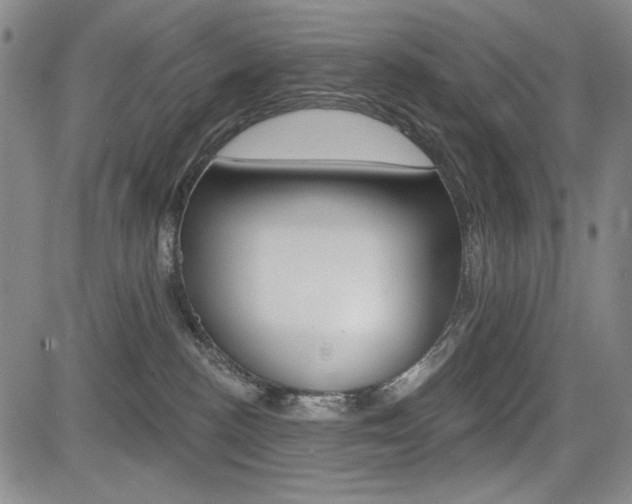 X0000085000188200703050945