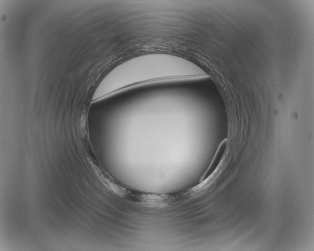 X0000085000192200703050945
