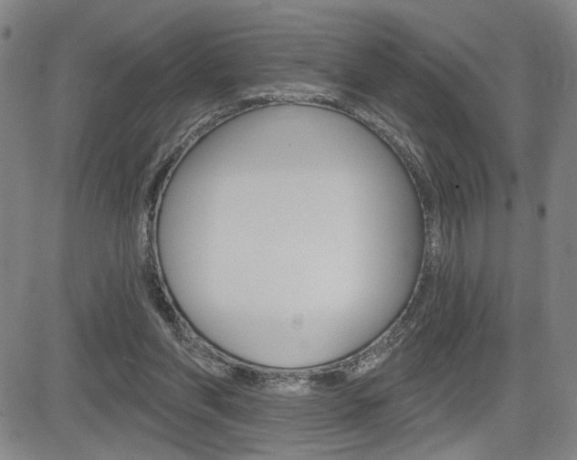 X0000085000206200703050944