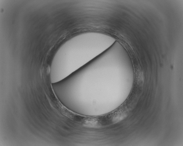 X0000085000214200703050944