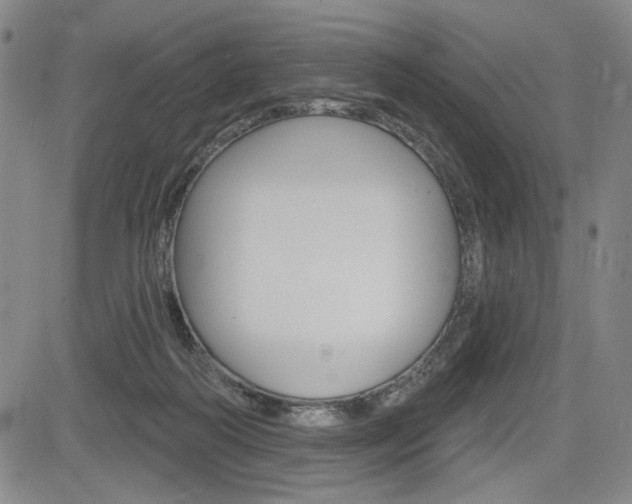 X0000085000218200703050944