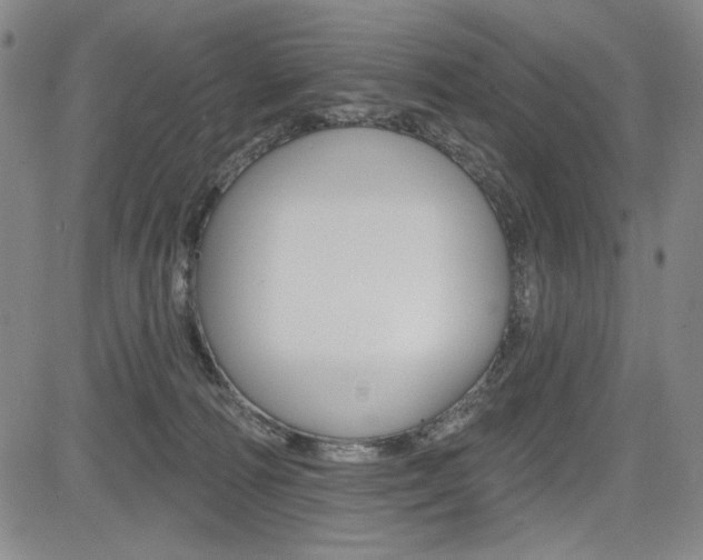 X0000085000226200703050944