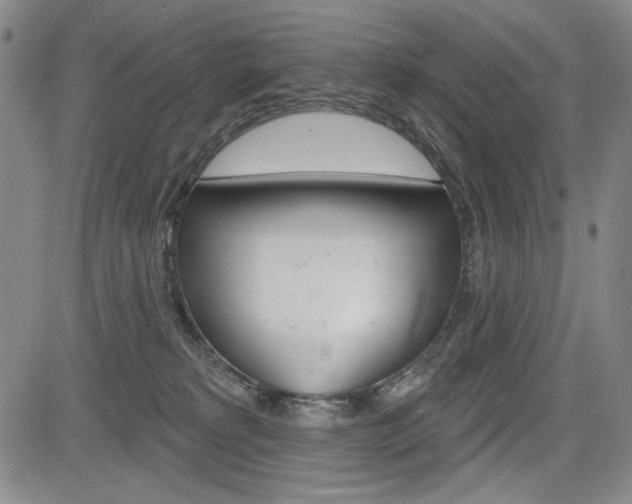 X0000085000229200703050944