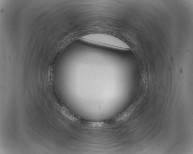 X0000085000233200703050944