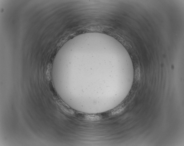 X0000085000234200703050944