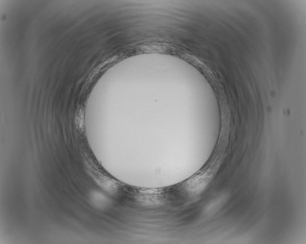 X0000085000240200703050943