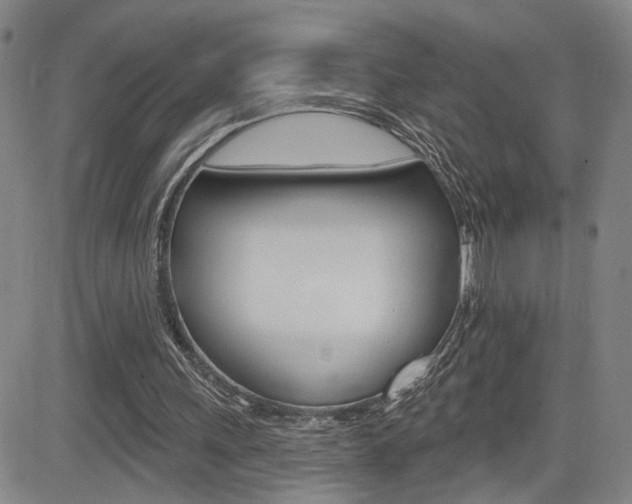 X0000085000243200703050943