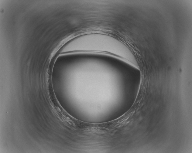 X0000085000244200703050943