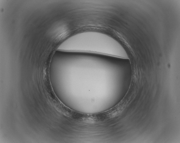 X0000085000259200703050943