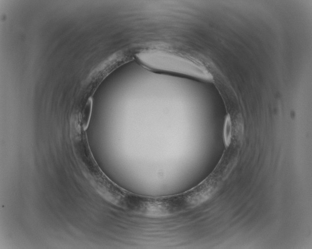 X0000085000264200703050943
