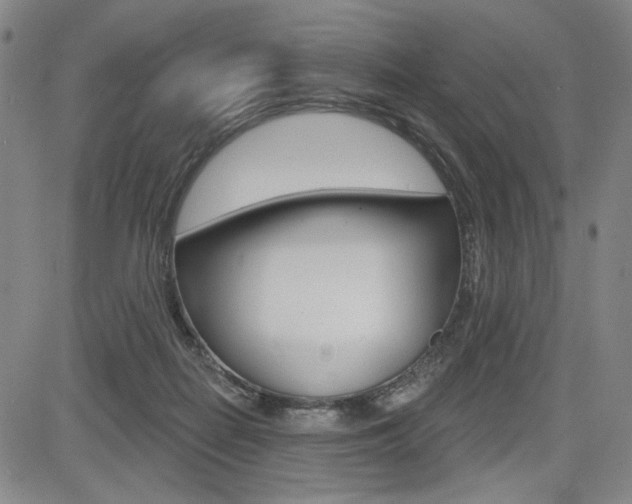 X0000085000266200703050943