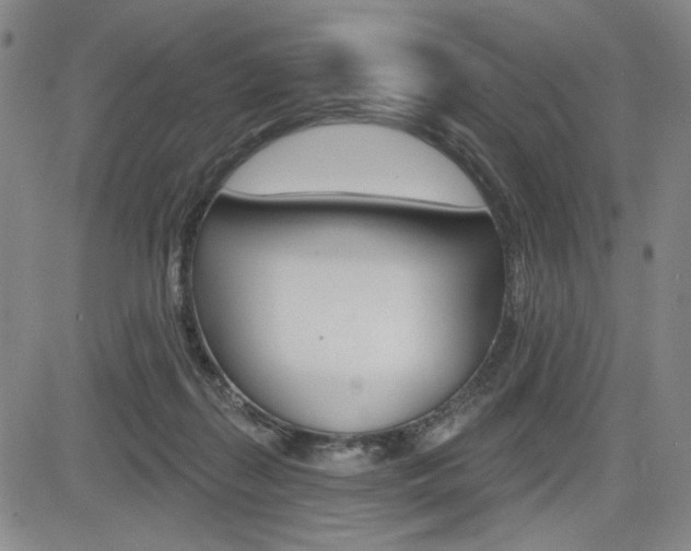 X0000085000267200703050943
