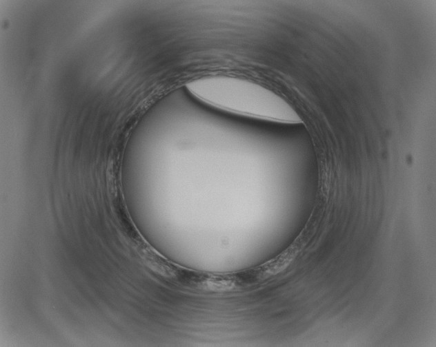 X0000085000270200703050943