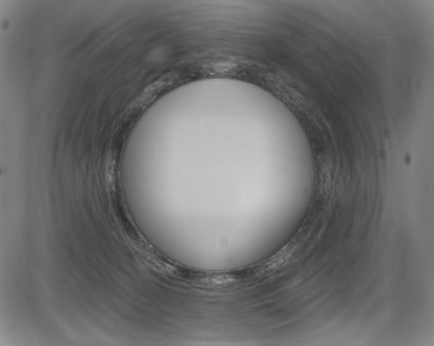 X0000085000274200703050943