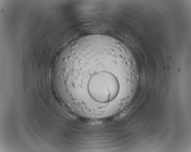 X0000085000278200703050943
