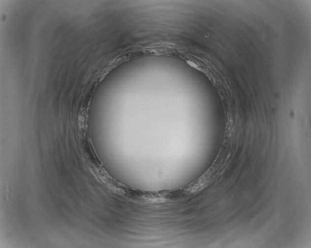 X0000085000284200703050943