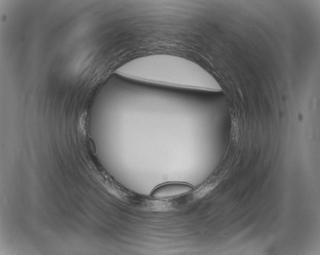 X0000085000286200703050943