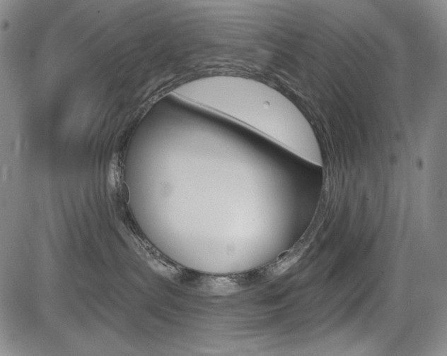 X0000085000287200703050943