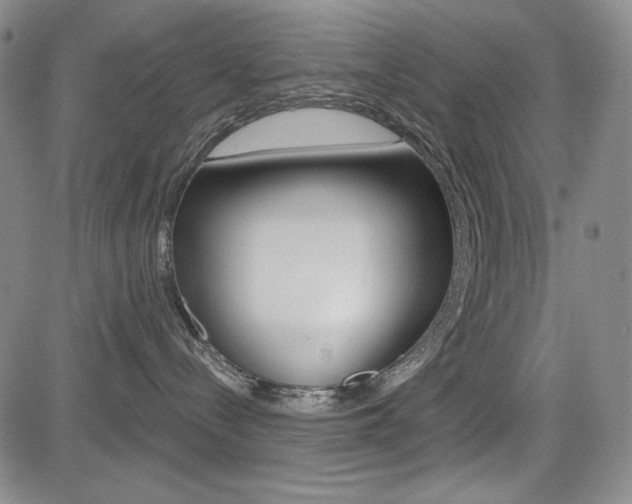 X0000085000288200703050943