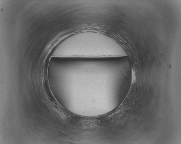 X0000085000291200703050943