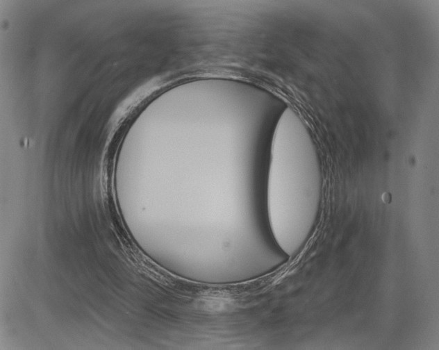 X0000085000294200703050943