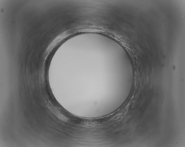 X0000085000296200703050943
