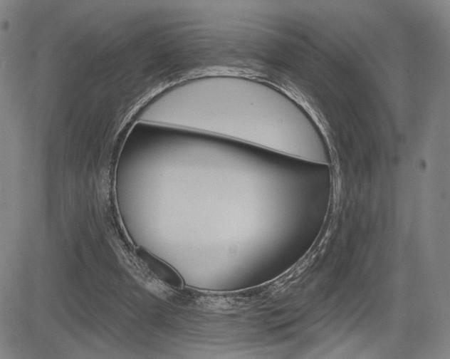 X0000085000297200703050943